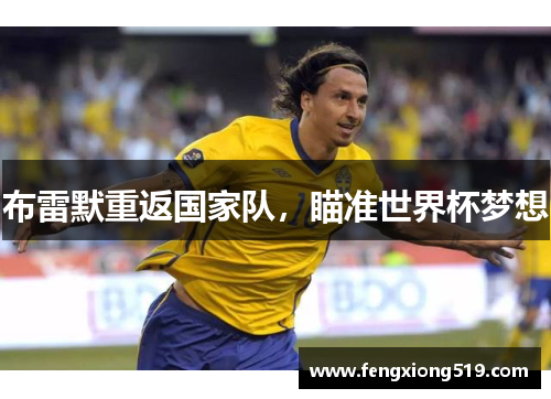 布雷默重返国家队，瞄准世界杯梦想